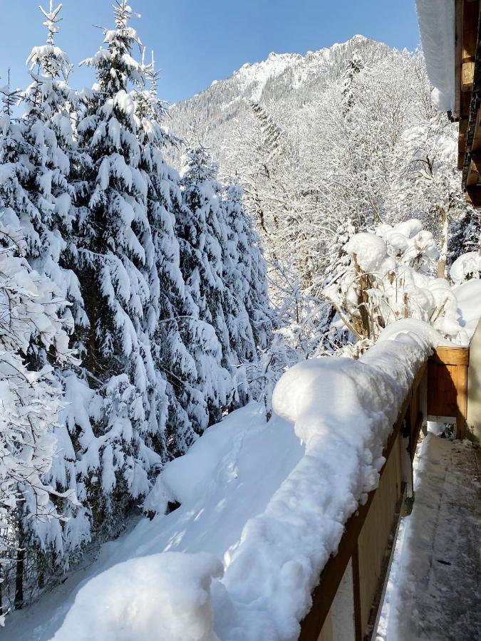 Appartement Steinfisch Рамзау Экстерьер фото